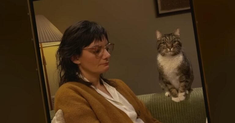 New Apple video comedically says: be careful what you remove from photos