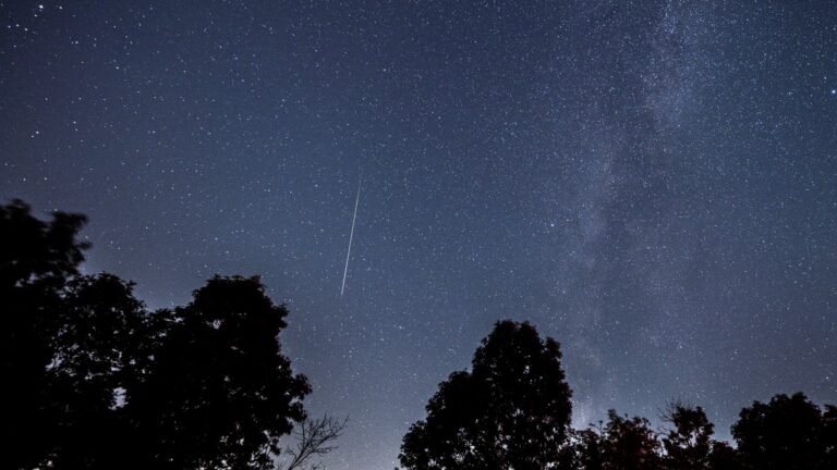 <p>The Perseid meteor shower is one of the most popular and spectacular meteor showers of the year, and it's a great way to kick off the summer "shooting star" season. Here's what you need to know to catch a glimpse of this amazing celestial event:</p>
<p><strong>When to watch:</strong> The Perseid meteor shower peaks on August 12-13, but you can start seeing meteors as early as July 23 and as late as August 22. The best time to watch is usually between midnight and dawn, when the sky is at its darkest.</p>
<p><strong>Where to watch:</strong> Find a dark location with minimal light pollution, such as a park or a remote area away from city lights. Give your eyes about 20 minutes to adjust to the dark, and then lie down or sit comfortably to gaze up at the sky.</p>
<p><strong>What to expect:</strong> The Perseid meteor shower is known for producing bright, fast-moving meteors that can leave behind glowing trails. You can expect to see around 50-100 meteors per hour during the peak, although the number can vary from year to year.</p>
<p><strong>Tips for viewing:</strong></p>
<ol>
<li><strong>Dress warmly:</strong> It can get chilly even in the summer, so bring a blanket or dress in layers to stay comfortable.</li>
<li><strong>Bring binoculars or a telescope:</strong> While not necessary, these can help you spot more meteors and get a closer look at the sky.</li>
<li><strong>Be patient:</strong> Meteor showers can be unpredictable, and you may need to wait a while to see a meteor. Bring snacks, water, and entertainment to pass the time.</li>
<li><strong>Download a meteor shower app:</strong> Apps like Sky Map or Meteor Shower can help you track the meteor shower and find the best viewing locations.</li>
<li><strong>Enjoy the experience:</strong> The Perseid meteor shower is a special event, so take time to appreciate the beauty of the night sky and the wonder of the meteors.</li>
</ol>
<p><strong>Interesting facts:</strong></p>
<ol>
<li><strong>The Perseid meteor shower is caused by the Earth passing through the debris trail of the Swift-Tuttle comet.</strong></li>
<li><strong>The meteors from the Perseid shower are some of the fastest, traveling at speeds of up to 40 miles per second.</strong></li>
<li><strong>The Perseid meteor shower has been observed for over 2,000 years, with records of the shower dating back to ancient China.</strong></li>
</ol>
<p>Get ready to make some wishes upon a shooting star! The Perseid meteor shower is a magical experience that's sure to leave you in awe of the night sky.</p>