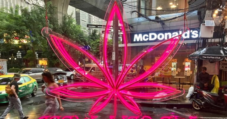 <p>The article you're referring to highlights the challenges faced by businesses in Thailand after the government's sudden U-turn on the legalization of cannabis. Here's a brief summary:</p>
<p><strong>Background</strong>: In 2022, Thailand became the first country in Southeast Asia to decriminalize cannabis, allowing businesses to grow, sell, and distribute cannabis products. Many entrepreneurs invested heavily in the industry, expecting a lucrative market.</p>
<p><strong>U-turn</strong>: However, in a surprise move, the government recently reversed its stance, announcing a new law that restricts the use of cannabis to medical purposes only. The law prohibits the sale and distribution of cannabis for recreational use, effectively crippling the emerging industry.</p>
<p><strong>Impact on businesses</strong>: The sudden change in policy has left many businesses scrambling to survive. Companies that had invested in cannabis cultivation, processing, and retail are now facing significant losses. Some have already shut down operations, while others are trying to adapt to the new regulations by shifting their focus to medical cannabis products.</p>
<p><strong>Challenges ahead</strong>: The new law poses significant challenges for businesses, including:</p>
<ol>
<li><strong>Loss of investment</strong>: Many businesses had invested heavily in the industry, expecting a recreational market. These investments are now at risk of being lost.</li>
<li><strong>Regulatory uncertainty</strong>: The new law has created uncertainty, making it difficult for businesses to navigate the regulatory landscape.</li>
<li><strong>Limited medical market</strong>: The medical cannabis market is expected to be much smaller than the recreational market, making it challenging for businesses to survive.</li>
</ol>
<p><strong>Way forward</strong>: To survive, businesses will need to adapt quickly to the new regulations. This may involve:</p>
<ol>
<li><strong>Diversifying products</strong>: Companies can focus on developing medical cannabis products, such as oils, tinctures, and topical creams.</li>
<li><strong>Exporting</strong>: Businesses can explore export opportunities to countries where recreational cannabis is legal.</li>
<li><strong>Advocacy</strong>: Industry players can lobby the government to reconsider its stance on recreational cannabis, highlighting the economic benefits of a regulated industry.</li>
</ol>
<p>The Thai government's U-turn on cannabis legalization has created a difficult environment for businesses, but with adaptability and innovation, some companies may still be able to thrive in the medical cannabis sector.</p>