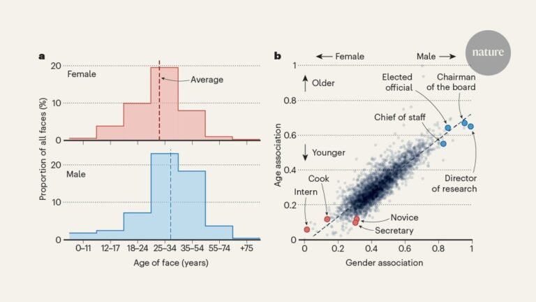 <p>The issue of distorted representations of age and gender in AI models is a pressing concern. AI systems, including machine learning and deep learning models, can perpetuate and amplify existing social biases if they are trained on datasets that are not diverse, inclusive, or representative of the population.</p>
<p>These biases can manifest in various ways, such as:</p>
<ol>
<li><strong>Age bias</strong>: AI models may be trained on datasets that are skewed towards younger populations, leading to poor performance on older adults or inaccurate representations of age-related characteristics.</li>
<li><strong>Gender bias</strong>: AI models may be trained on datasets that are biased towards one gender, resulting in poor performance or inaccurate representations of the other gender.</li>
<li><strong>Intersectional bias</strong>: AI models may struggle to accurately represent individuals with intersecting identities, such as older women or non-binary individuals.</li>
</ol>
<p>The causes of these distortions can be attributed to:</p>
<ol>
<li><strong>Data quality</strong>: Datasets used to train AI models may be incomplete, inaccurate, or biased, reflecting existing social inequalities.</li>
<li><strong>Lack of diversity</strong>: Datasets may not be diverse enough, leading to inadequate representation of different age groups, genders, or intersectional identities.</li>
<li><strong>Algorithmic biases</strong>: AI algorithms can perpetuate and amplify existing biases if they are not designed to mitigate them.</li>
</ol>
<p>The consequences of these distortions can be far-reaching, including:</p>
<ol>
<li><strong>Inaccurate predictions</strong>: AI models may make inaccurate predictions or recommendations, which can have serious consequences in areas like healthcare, finance, or education.</li>
<li><strong>Discrimination</strong>: AI models may perpetuate discrimination against certain age groups or genders, exacerbating existing social inequalities.</li>
<li><strong>Lack of trust</strong>: Distorted representations can erode trust in AI systems, making it challenging to deploy them in real-world applications.</li>
</ol>
<p>To address these issues, it is essential to:</p>
<ol>
<li><strong>Collect diverse and inclusive data</strong>: Ensure that datasets used to train AI models are diverse, inclusive, and representative of the population.</li>
<li><strong>Design fair and unbiased algorithms</strong>: Develop AI algorithms that are designed to mitigate existing biases and ensure fairness.</li>
<li><strong>Regularly audit and test AI models</strong>: Regularly audit and test AI models for biases and distortions, and take corrective actions to address them.</li>
<li><strong>Increase transparency and accountability</strong>: Increase transparency and accountability in AI development and deployment, ensuring that developers and users are aware of potential biases and distortions.</li>
</ol>
<p>By acknowledging and addressing these issues, we can work towards creating more fair, inclusive, and accurate AI models that reflect the diversity of the population and promote social equality.</p>